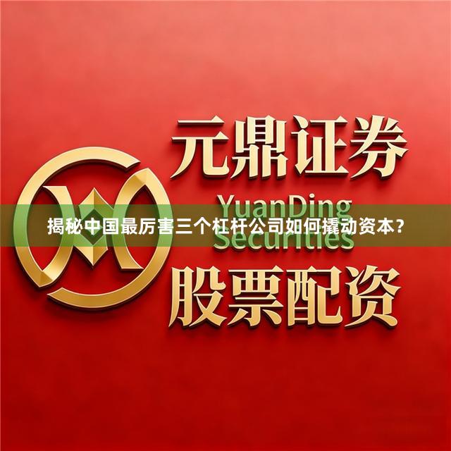 揭秘中国最厉害三个杠杆公司如何撬动资本？