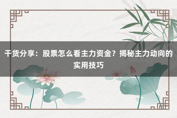 干货分享：股票怎么看主力资金？揭秘主力动向的实用技巧