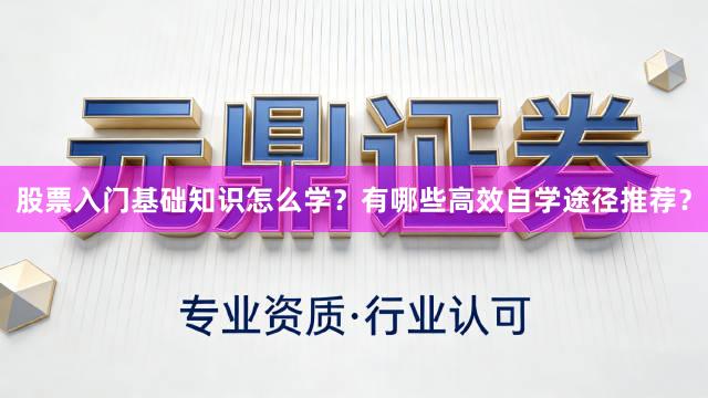 股票入门基础知识怎么学？有哪些高效自学途径推荐？