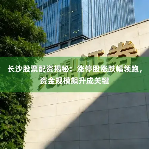 长沙股票配资揭秘：涨停股涨跌幅领跑，资金规模飙升成关键
