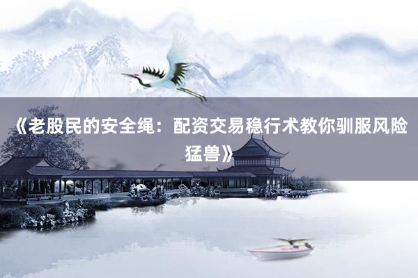 《老股民的安全绳：配资交易稳行术教你驯服风险猛兽》