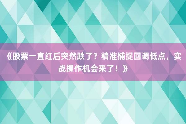 《股票一直红后突然跌了？精准捕捉回调低点，实战操作机会来了！》