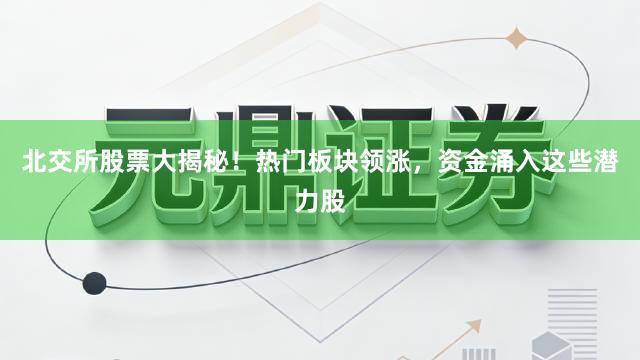 北交所股票大揭秘！热门板块领涨，资金涌入这些潜力股