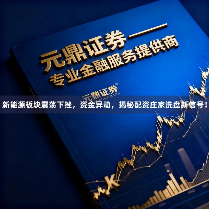 新能源板块震荡下挫，资金异动，揭秘配资庄家洗盘新信号！