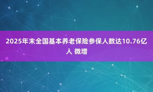 2025年末全国基本养老保险参保人数达10.76亿人 微增