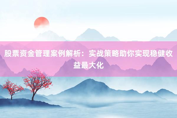 股票资金管理案例解析：实战策略助你实现稳健收益最大化