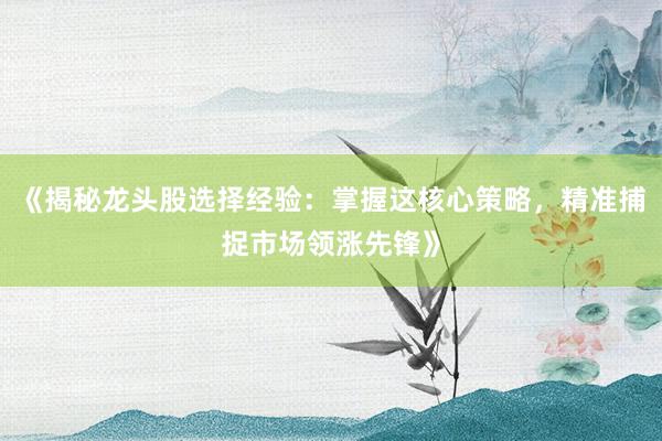 《揭秘龙头股选择经验：掌握这核心策略，精准捕捉市场领涨先锋》