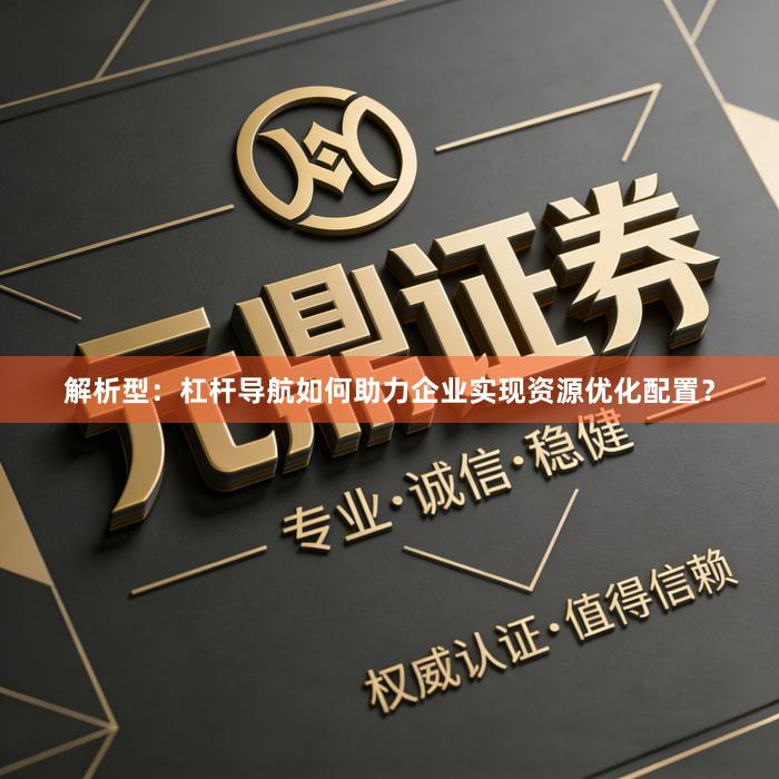 解析型：杠杆导航如何助力企业实现资源优化配置？