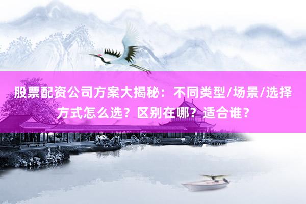 股票配资公司方案大揭秘：不同类型/场景/选择方式怎么选？区别在哪？适合谁？