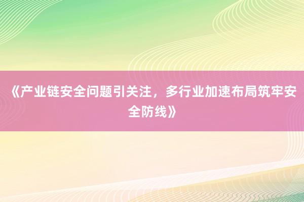 《产业链安全问题引关注，多行业加速布局筑牢安全防线》