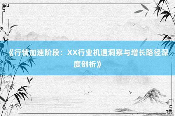 《行情加速阶段：XX行业机遇洞察与增长路径深度剖析》