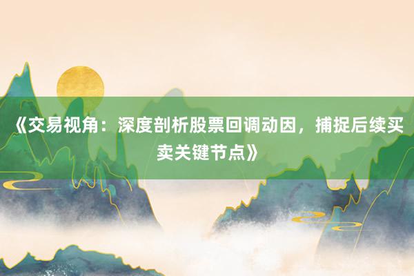 《交易视角：深度剖析股票回调动因，捕捉后续买卖关键节点》