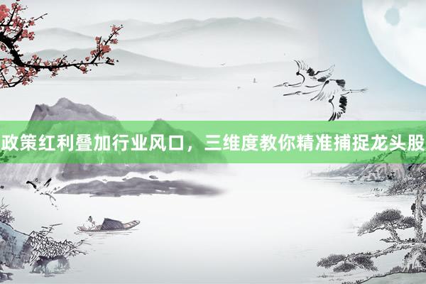 政策红利叠加行业风口，三维度教你精准捕捉龙头股