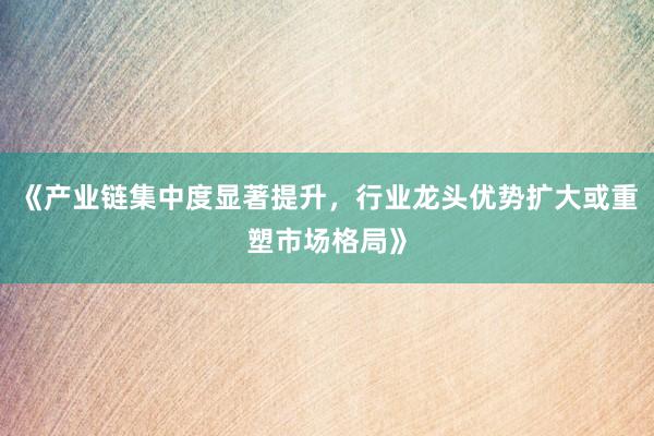 《产业链集中度显著提升，行业龙头优势扩大或重塑市场格局》