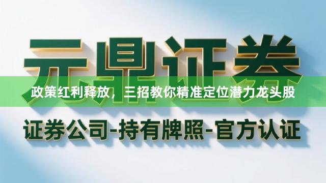 政策红利释放，三招教你精准定位潜力龙头股