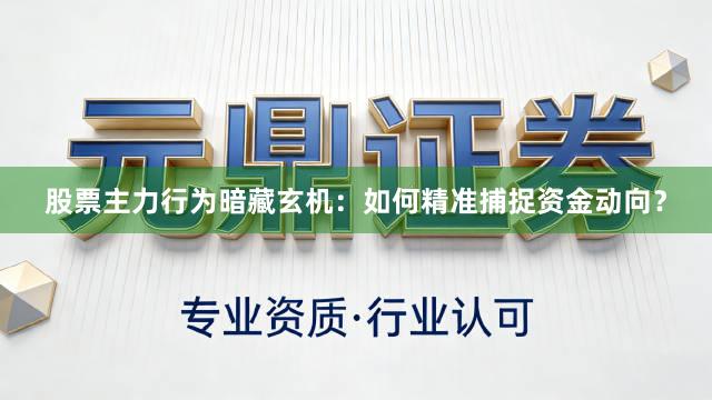 股票主力行为暗藏玄机：如何精准捕捉资金动向？