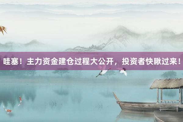 哇塞！主力资金建仓过程大公开，投资者快瞅过来！