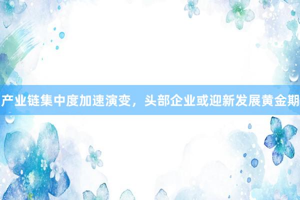 产业链集中度加速演变，头部企业或迎新发展黄金期